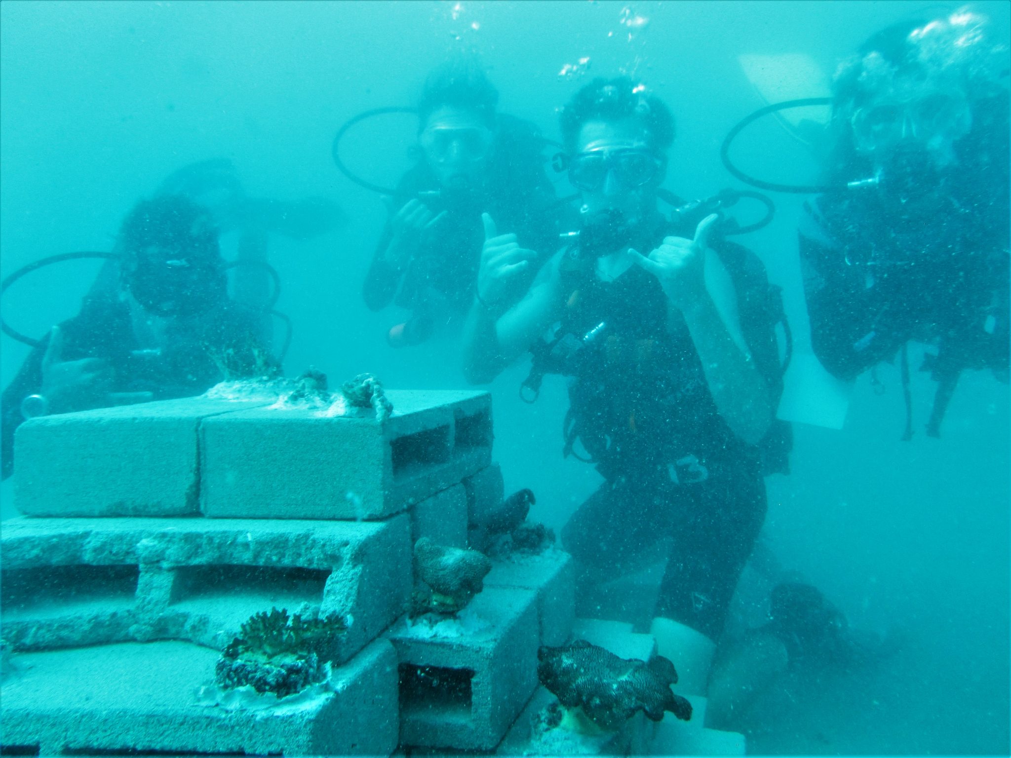 Artificial Reef built by Volunteers - Madagascar Research & Conservation